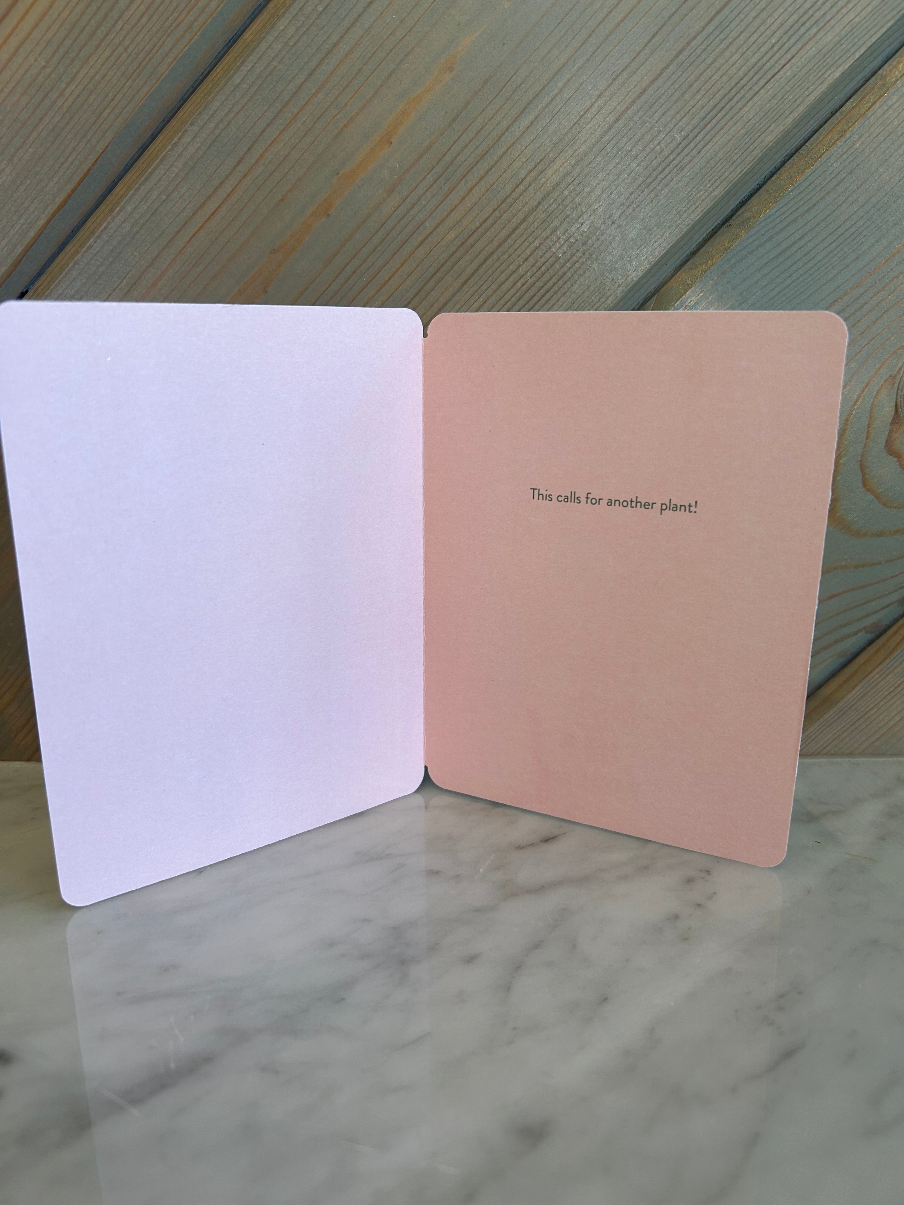 Willow & Ivy Cards