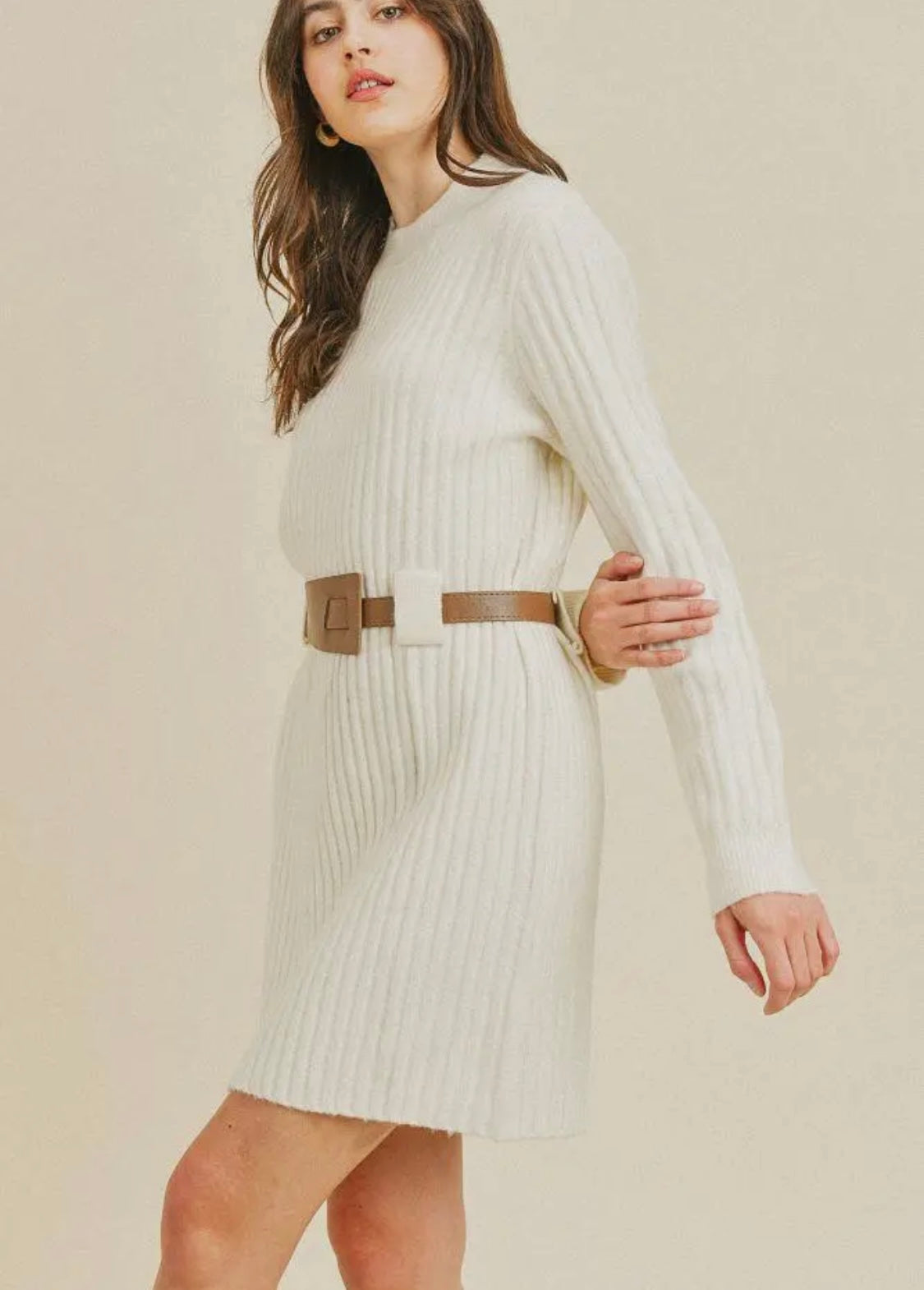 Cold Days Sweater Dress