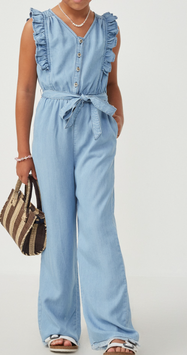 Hayden Denim Jumpsuit