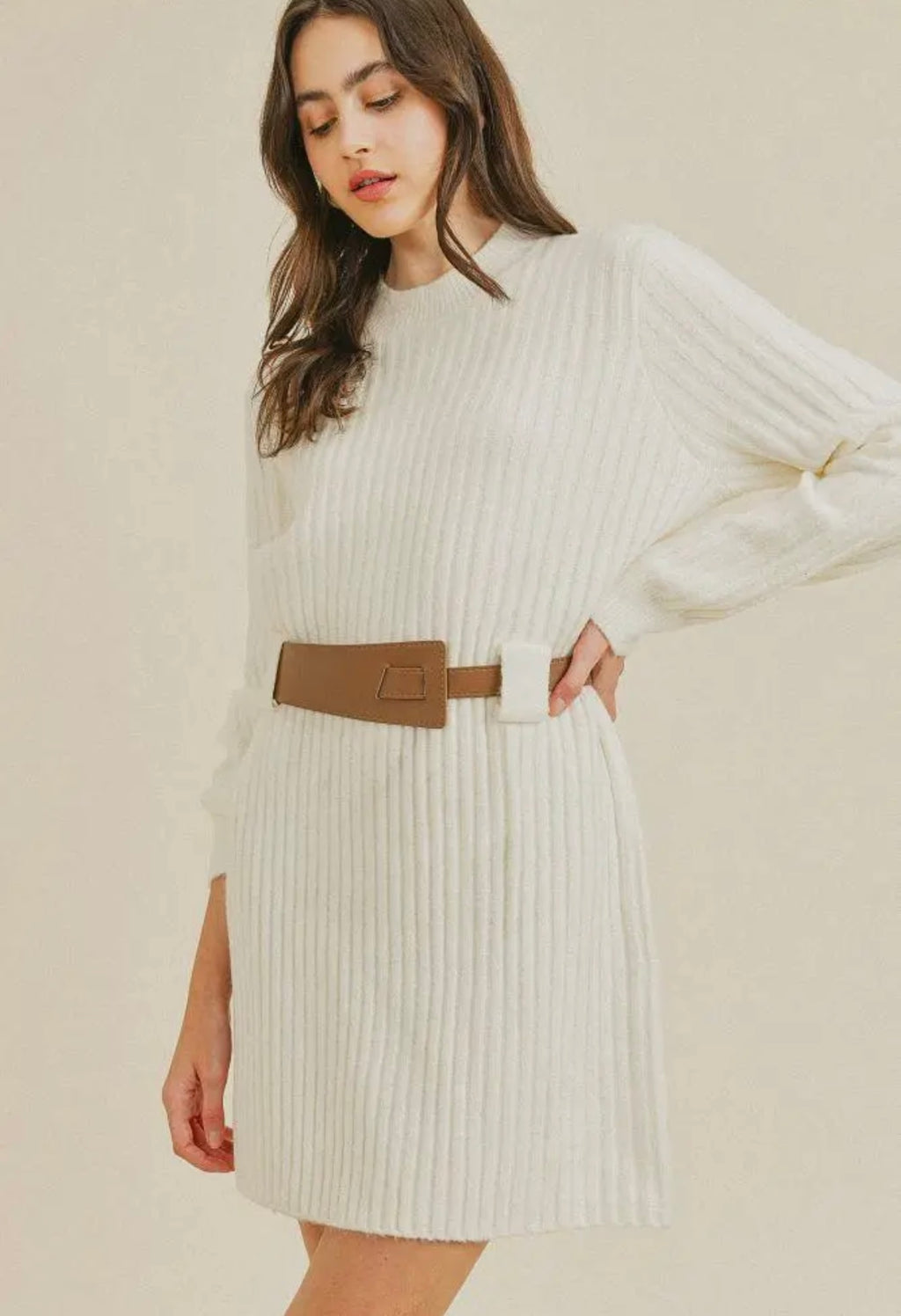 Cold Days Sweater Dress