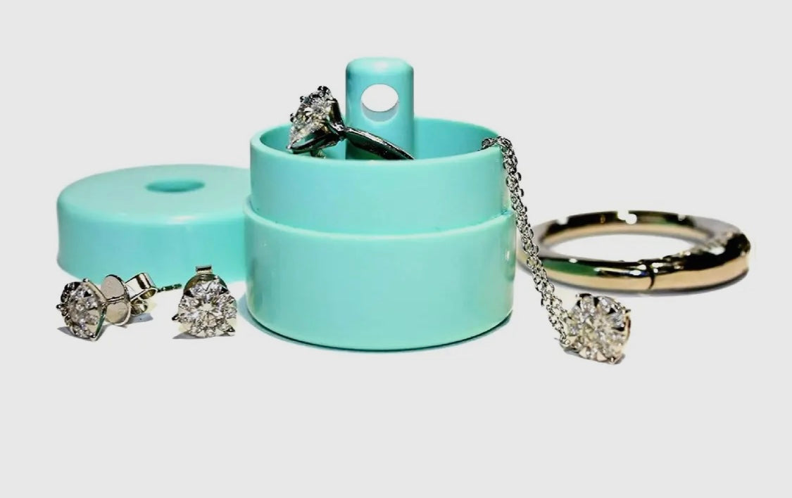 Lion Latch Jewelry /Pill Tote