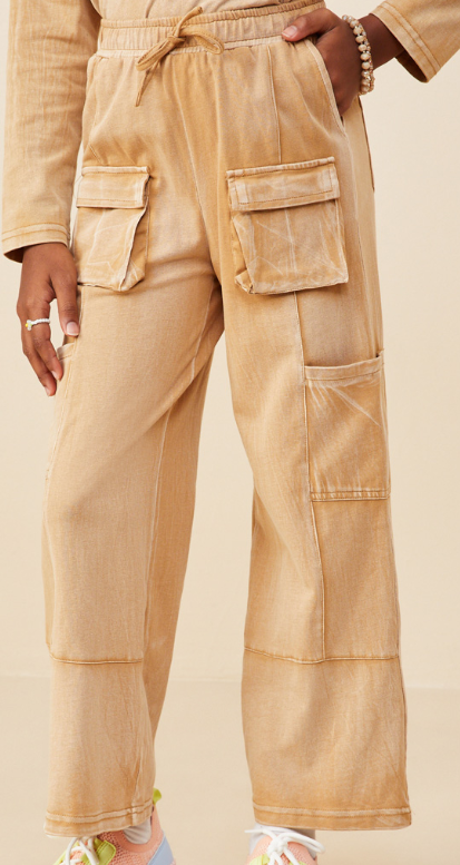 Hayden Taupe Pants